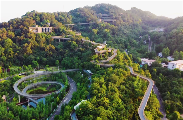 尊龙·Z6集团荣获两项国家级协会工程建设科学技术奖！